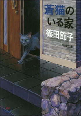 蒼猫のいる家