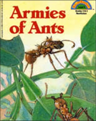 Armies of Ants