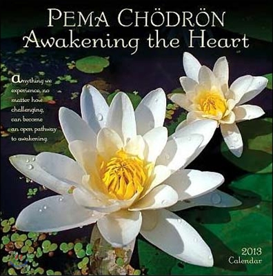 Pema Chodron 2013 Calendar