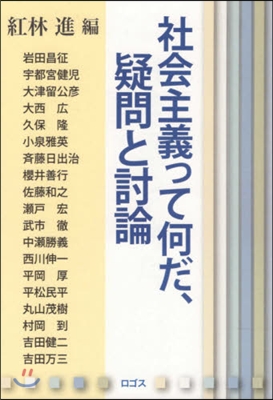 社會主義って何だ,疑問と討論