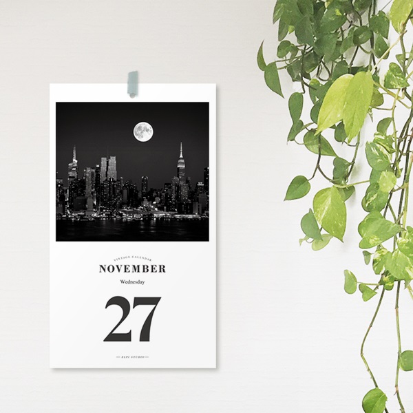 [365 days 일력] 2019 The Moon Daily Calendar