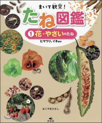 まいて觀察!たね圖鑑(1)花.やさいのたね 