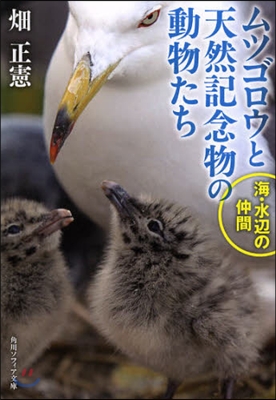 ムツゴロウと天然記念物の動物たち 海.水邊の仲間