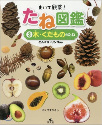 まいて觀察! たね圖鑑(3) 木.くだもののたね どんぐり.リンゴほか