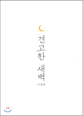 견고한 새벽