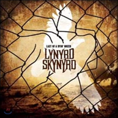 Lynyrd Skynyrd - Last Of A Dyin&#39; Breed (Special Edition)