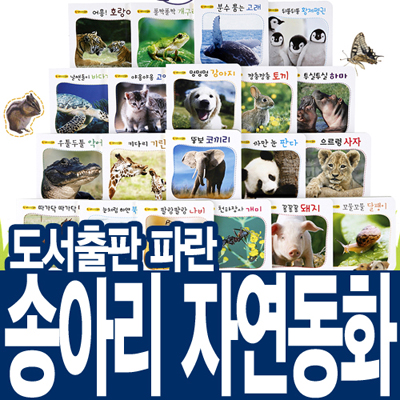 송아리 자연동화 (전20권) 보드북/자연관찰/자연픽처북/동물/곤충/호랑이
