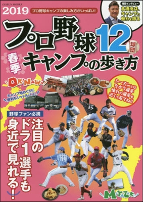 ’19 プロ野球12球團春季キャンプの步