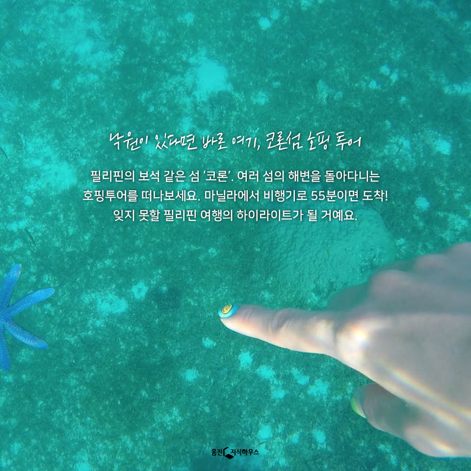 카드뉴스12
