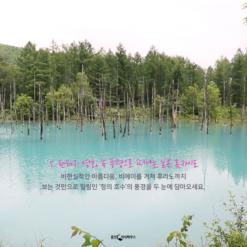카드뉴스13