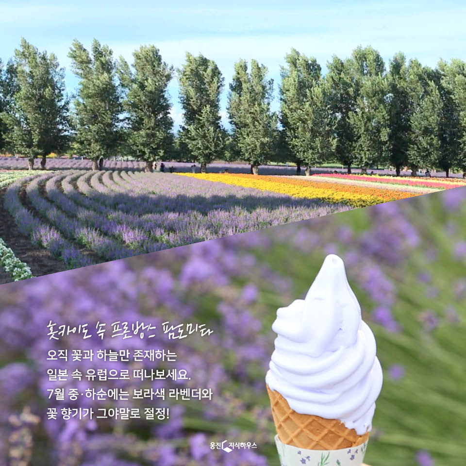 카드뉴스14