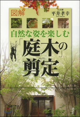 圖解 自然な姿を樂しむ「庭木」の剪定