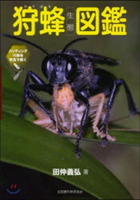 狩蜂生態圖鑑~ハンティング行動を寫眞で解