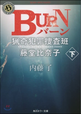 獵奇犯罪搜査班.藤堂比奈子 BURN(下) 