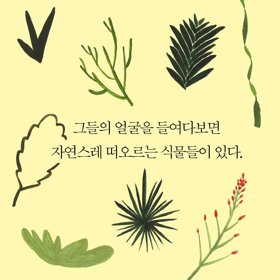 카드뉴스3