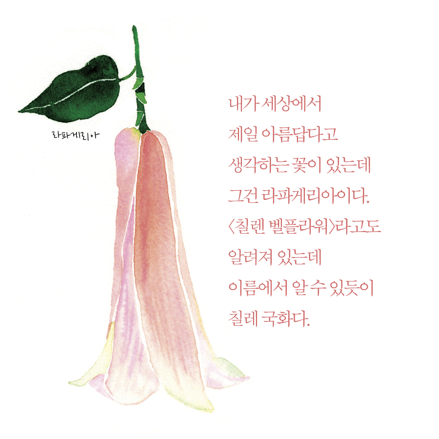 카드뉴스6