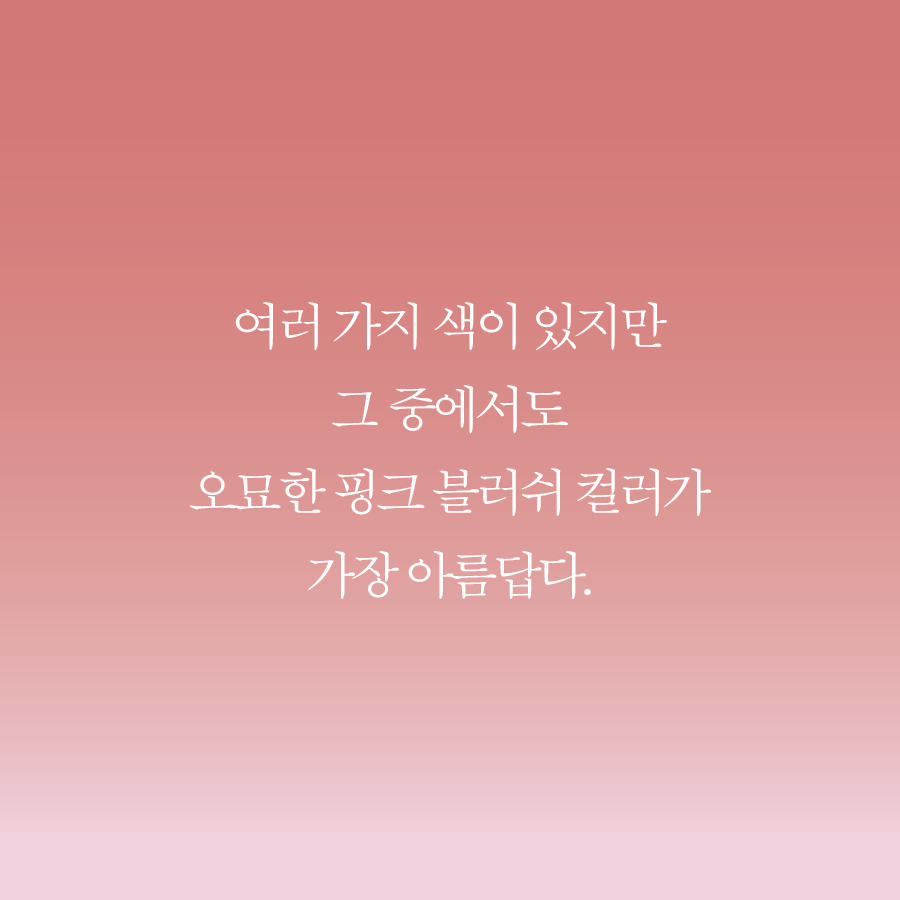 카드뉴스7