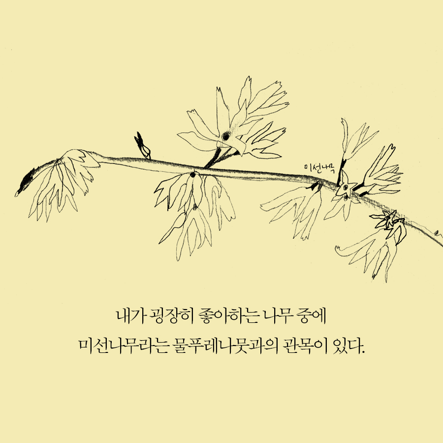 카드뉴스9