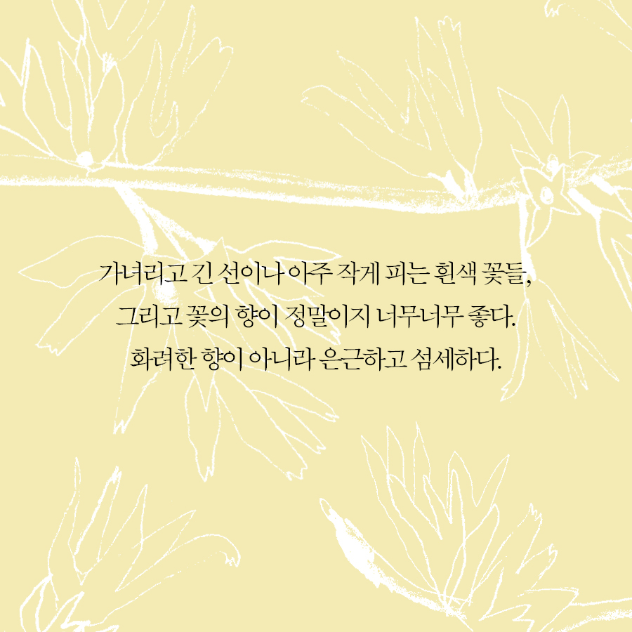 카드뉴스10