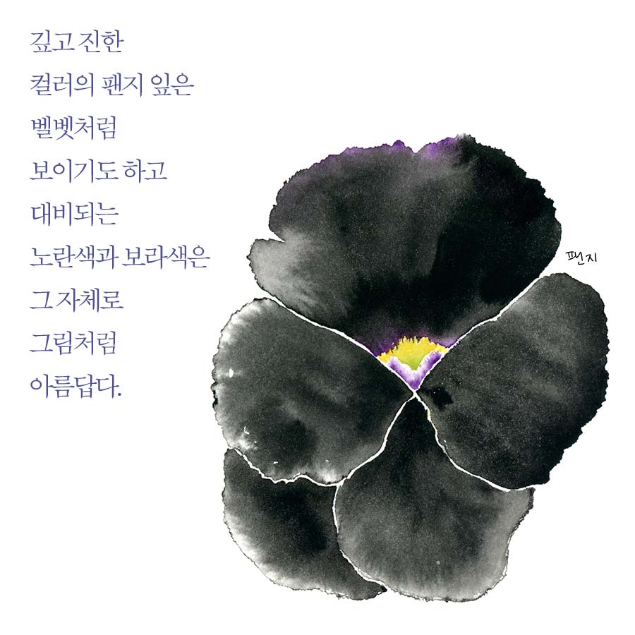 카드뉴스14