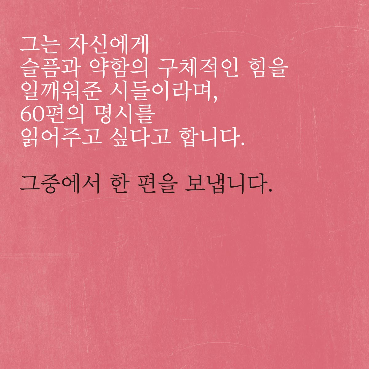 카드뉴스5
