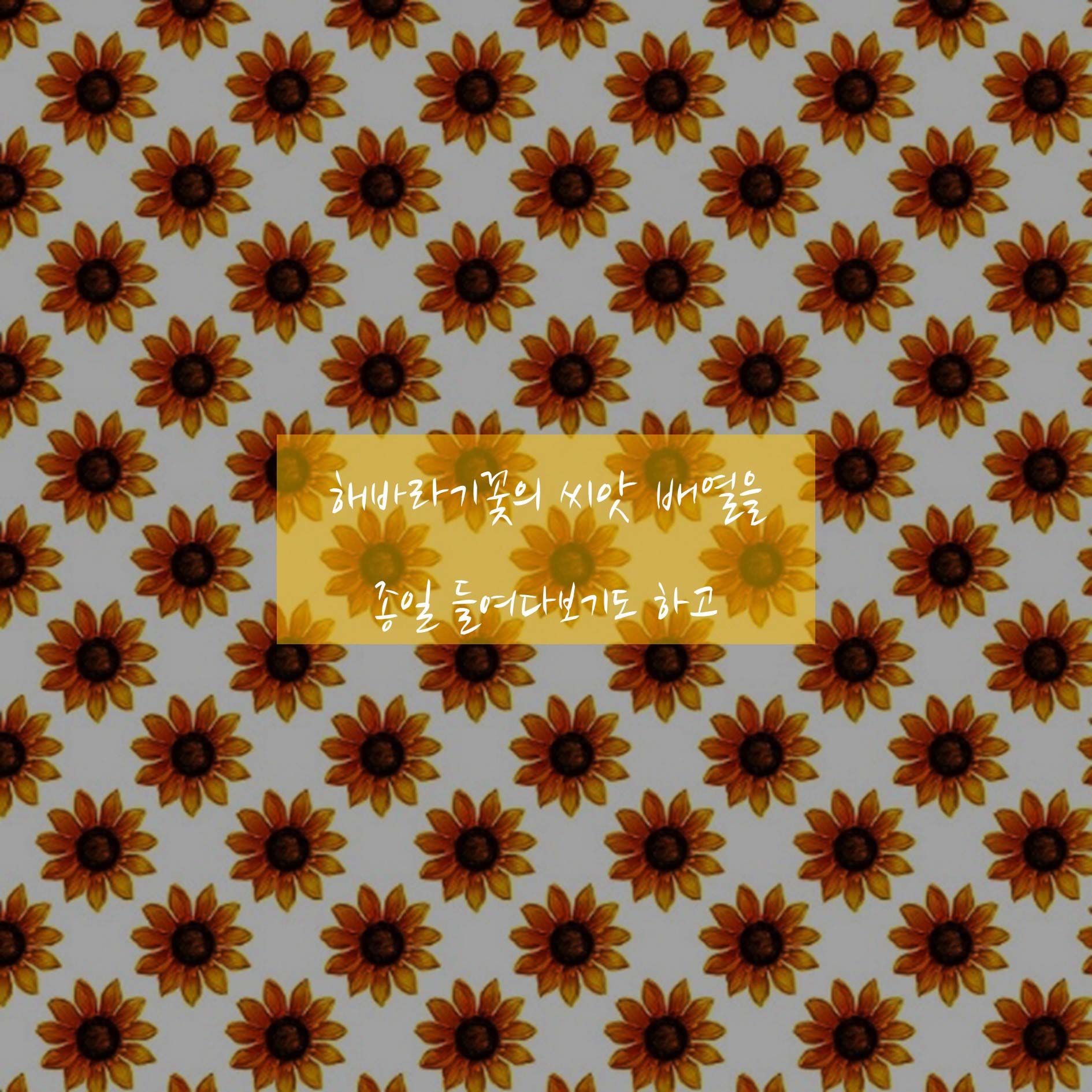 [전자책] 소설처럼 아름다운 수학 이야기 (최신 개정증보판) | 김정희 | 혜다 - 예스24