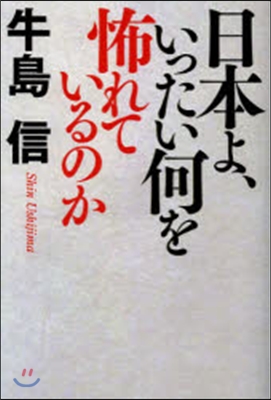 日本よ,いったい何を怖れているのか