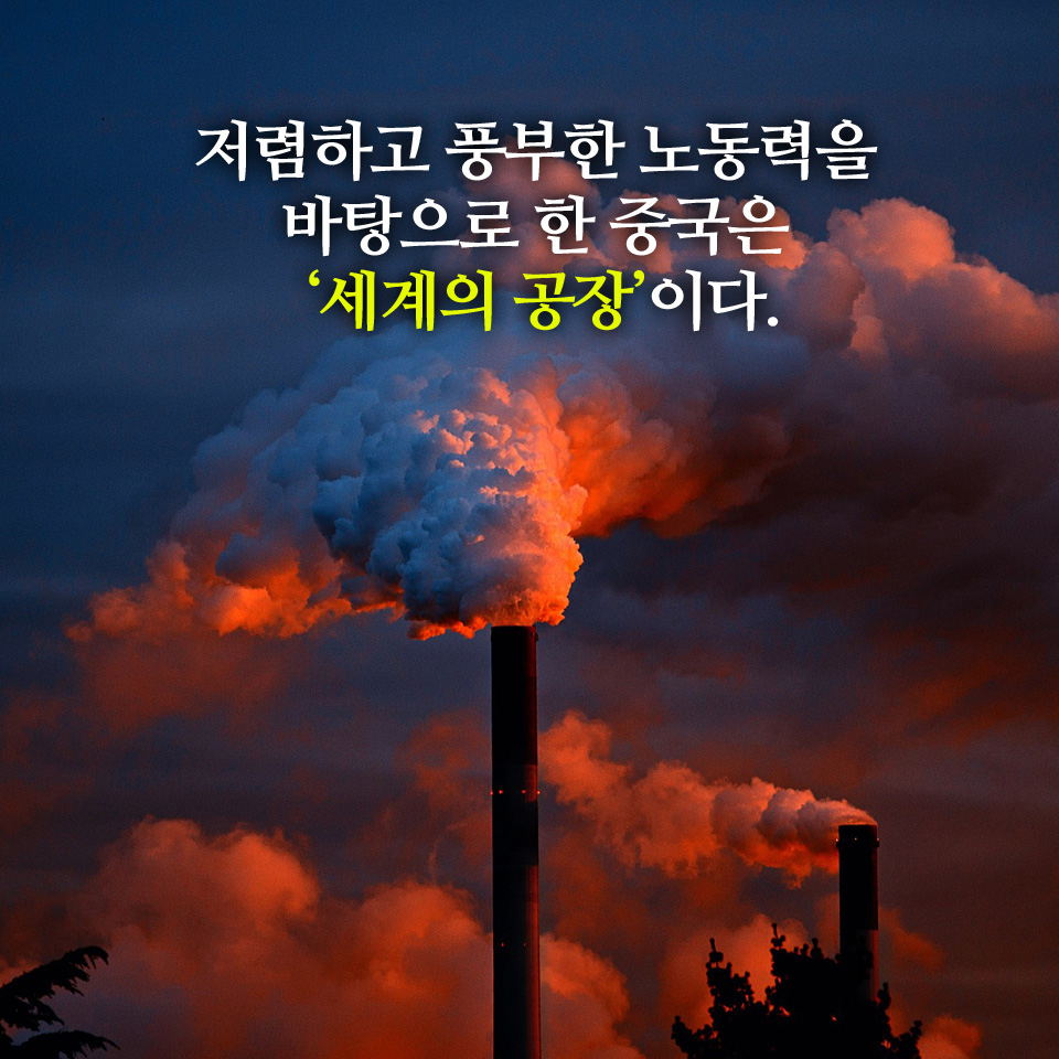 카드뉴스5