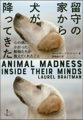 留守の家から犬が降ってきた 心の病にかかった動物たちが敎えてくれたこと