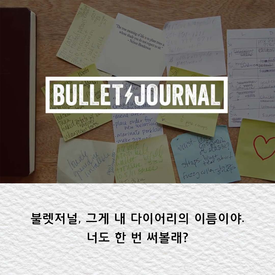 카드뉴스12