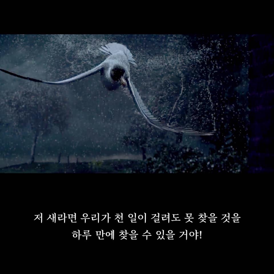 카드뉴스3