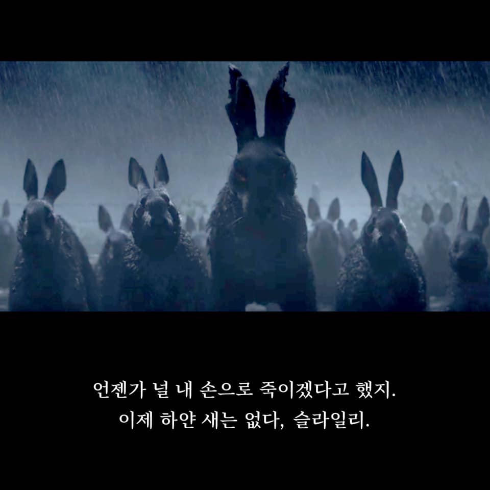 카드뉴스4