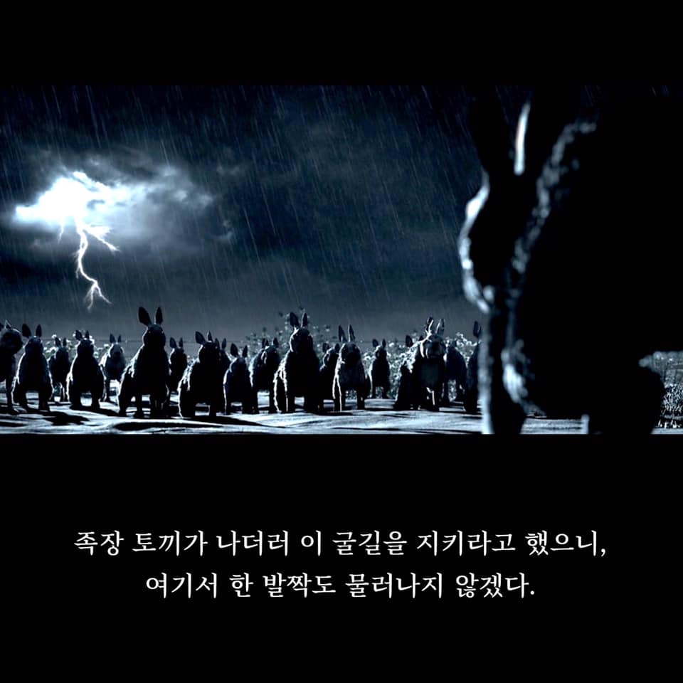 카드뉴스5