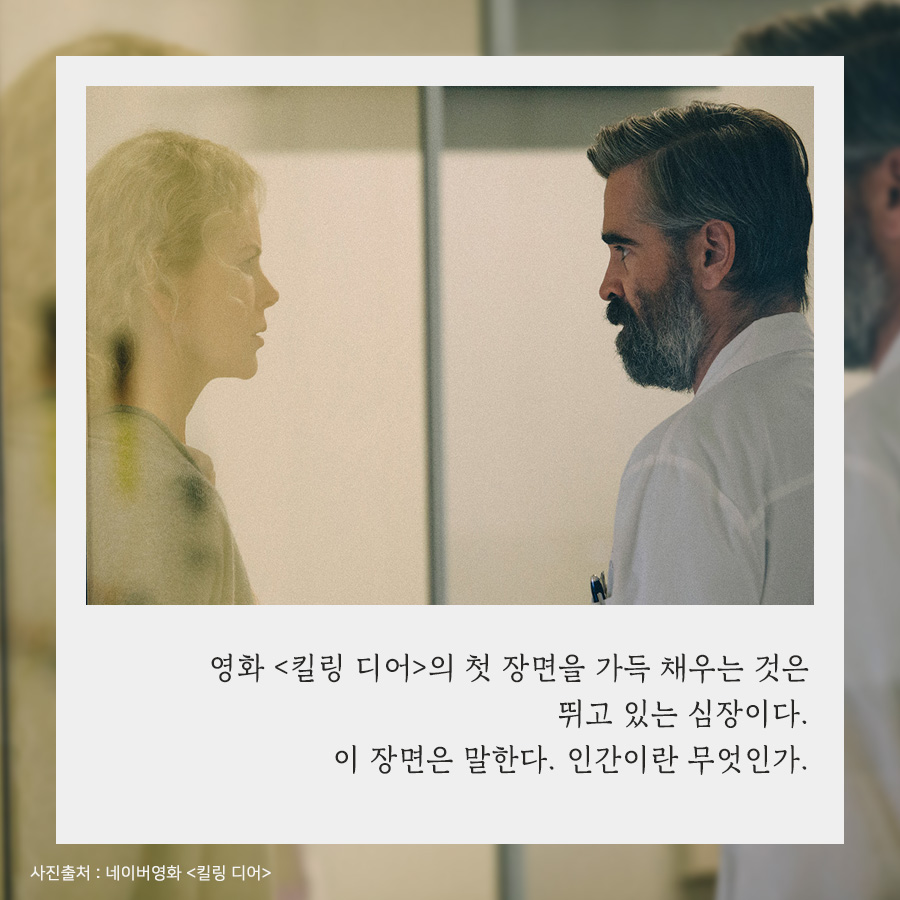 카드뉴스2