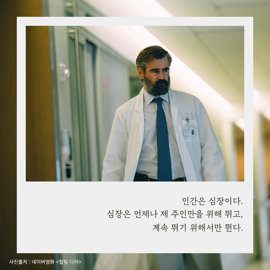 카드뉴스3