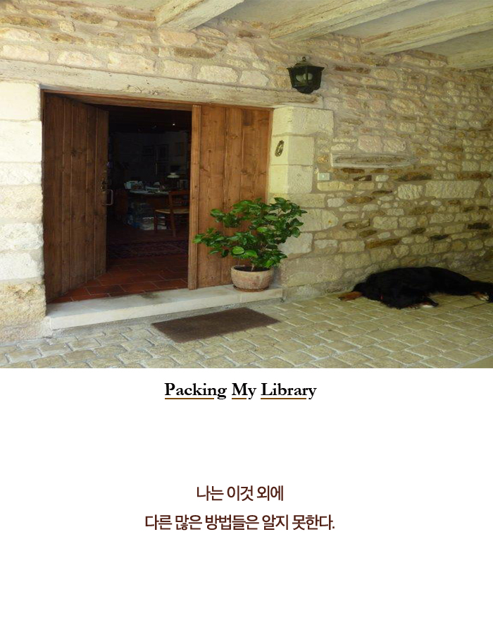 카드뉴스6