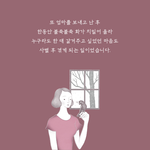 카드뉴스11