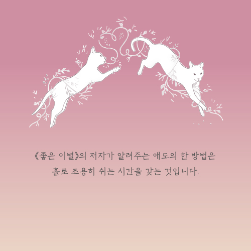 카드뉴스13