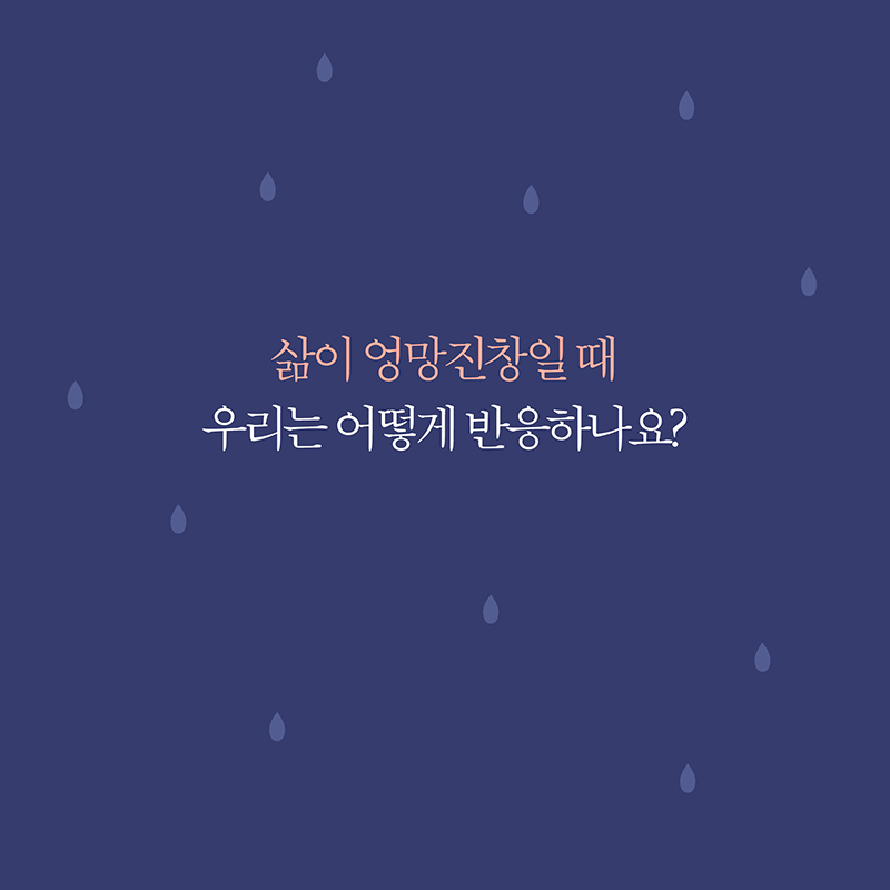 카드뉴스1