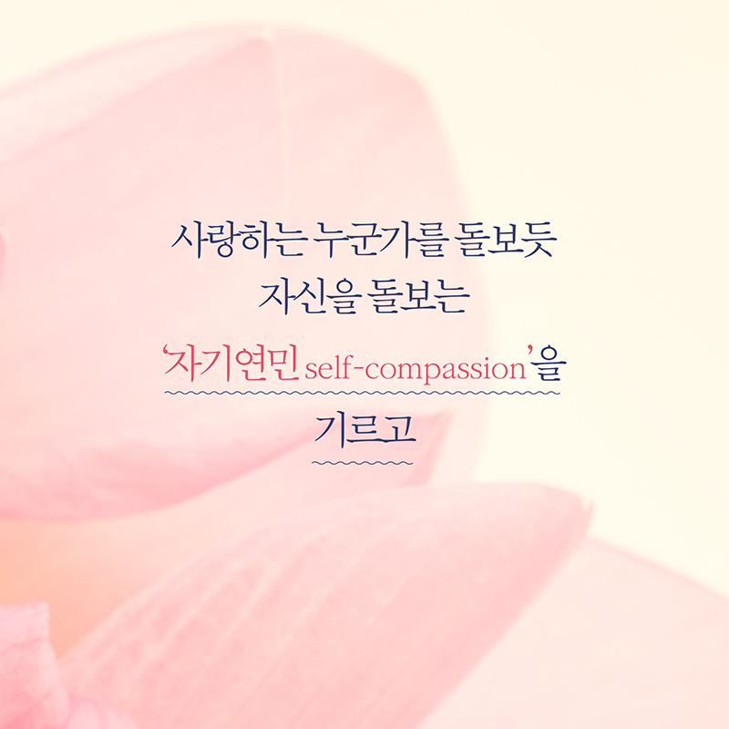 카드뉴스8