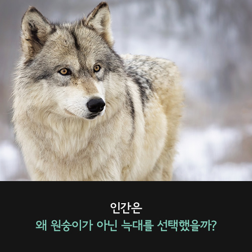 카드뉴스1