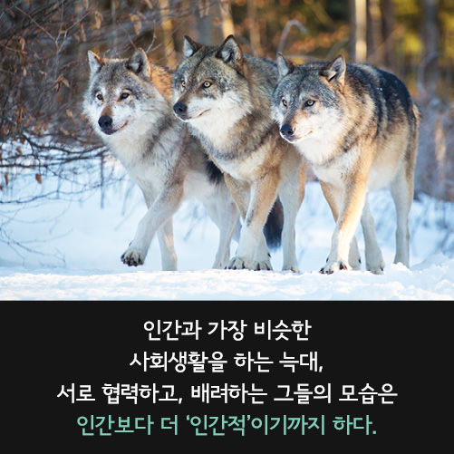 카드뉴스2