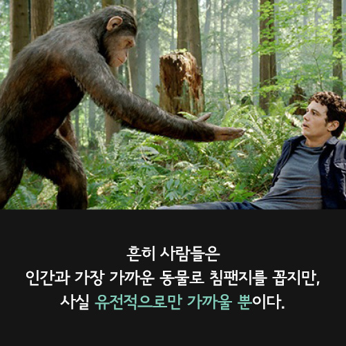 카드뉴스3