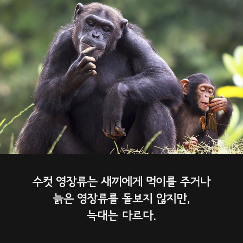 카드뉴스4