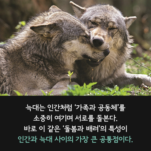 카드뉴스5