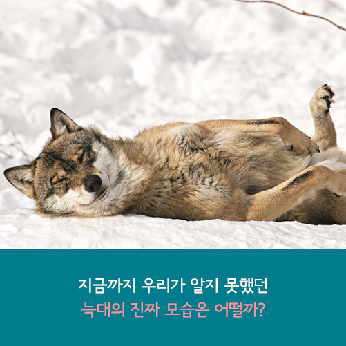 카드뉴스6