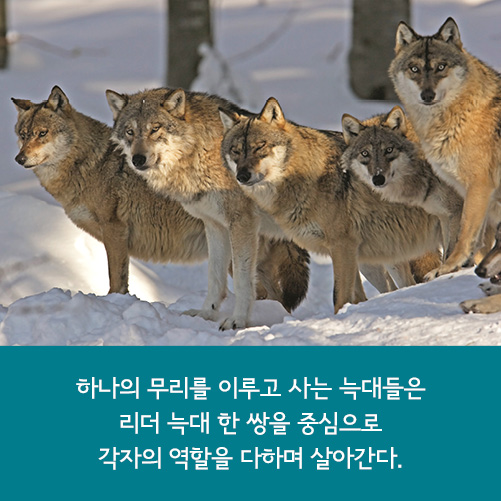 카드뉴스7