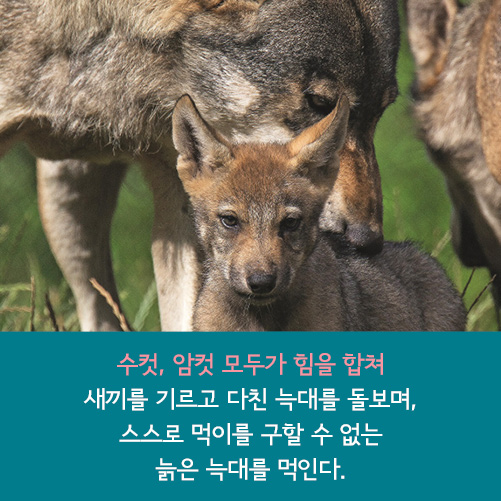 카드뉴스8