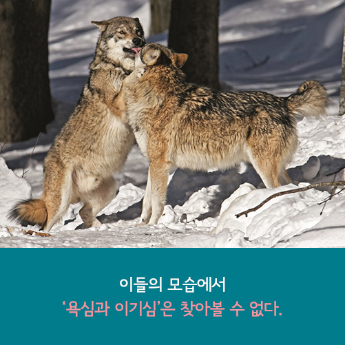 카드뉴스9