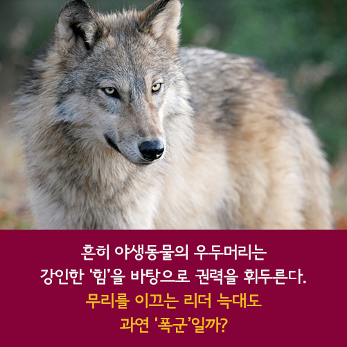 카드뉴스10